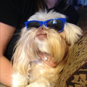 Meet your Posher, Rachel